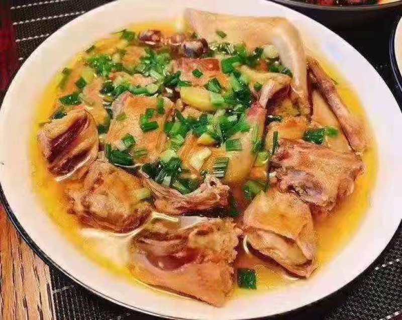 广东农家放养鸽子，小鸽子，批发价，大量出售，欢迎选购