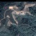 荒山出租转让，可做养殖种植，海拨1000米。