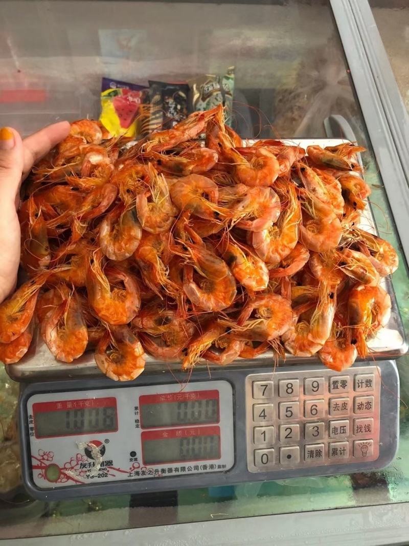 烤虾对虾，各种规格都有！全部海水活虾烘烤！大量现货