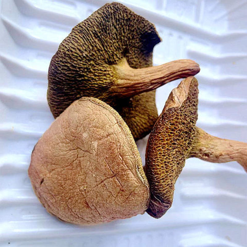 良二古田猴头菇干货猴头菌刺猬菌干猴头菇特产食用菌菇煲汤佳
