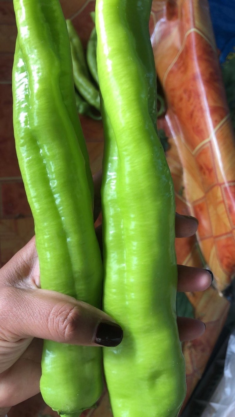 螺丝椒，黄皮尖椒，圆椒，大量现货供应中，欢迎关照