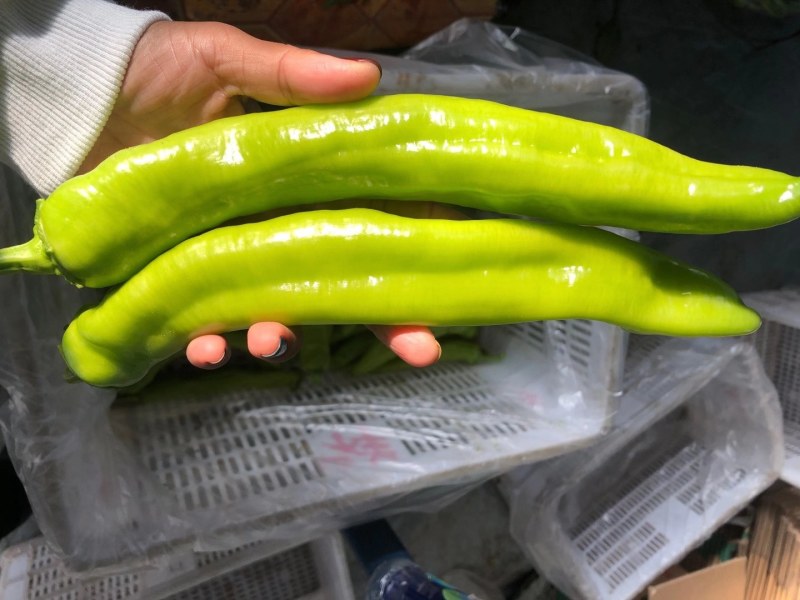 螺丝椒，黄皮尖椒，圆椒，大量现货供应中，欢迎关照