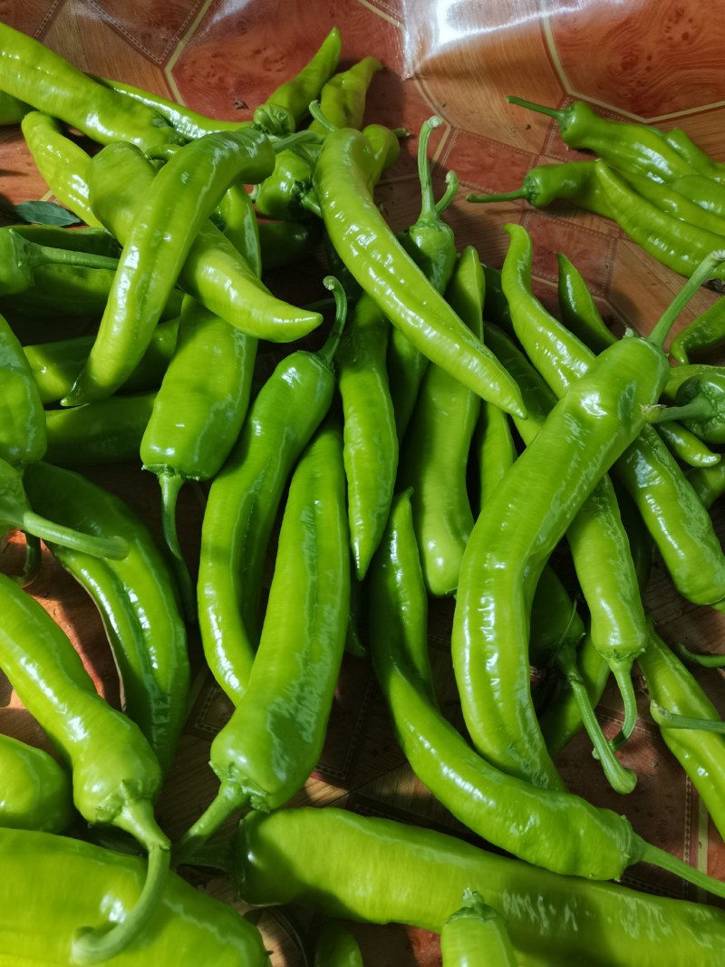 螺丝椒，黄皮尖椒，圆椒，大量现货供应中，欢迎关照