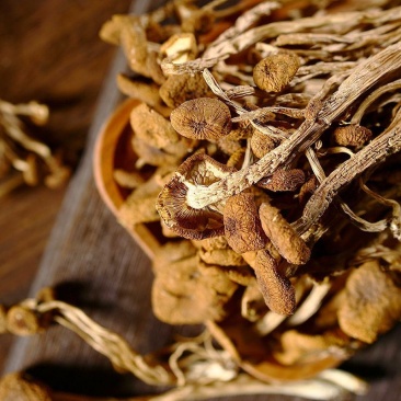 野生茶树菇干货散装批发古田特产菌菇包炖汤凉拌野生食用菌茶