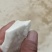 淀粉，湿粉，毛粉，1.85.精粉2.00