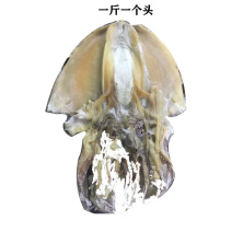 墨鱼干东鸡花鸡干货年货一斤一头淡盐