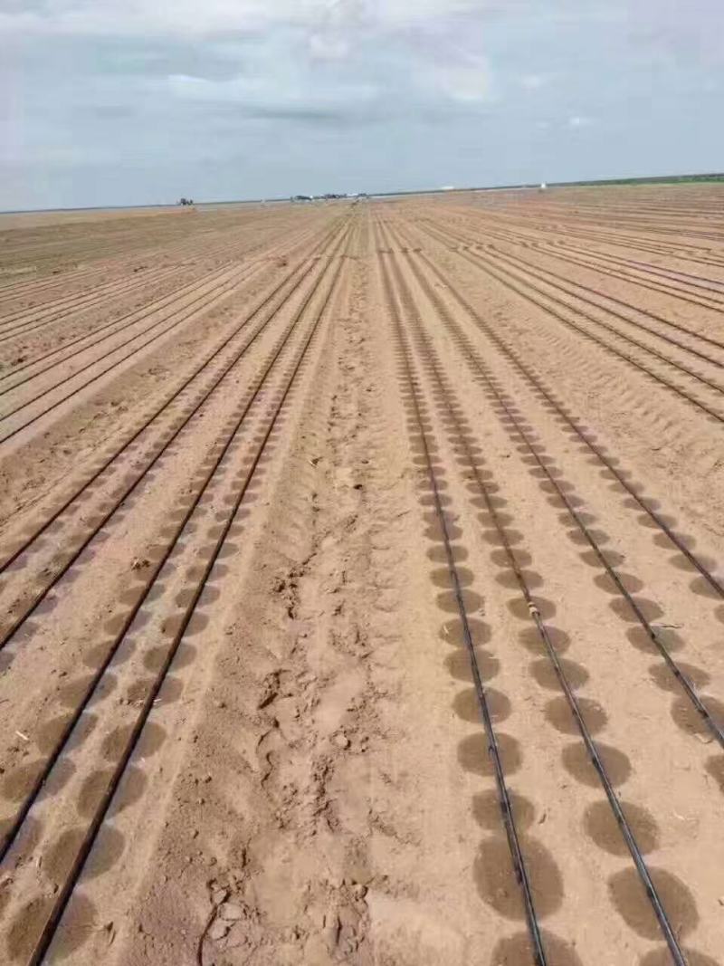 贴片滴灌带节水灌溉管件滴灌带水带