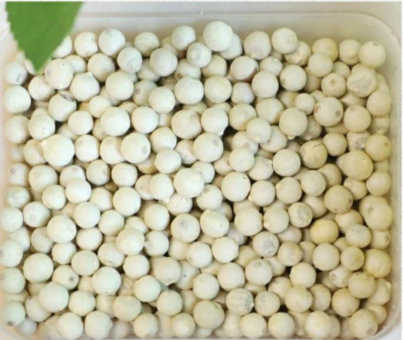 海南白胡椒辛辣芳香调味香料煲汤炖汤香味十足