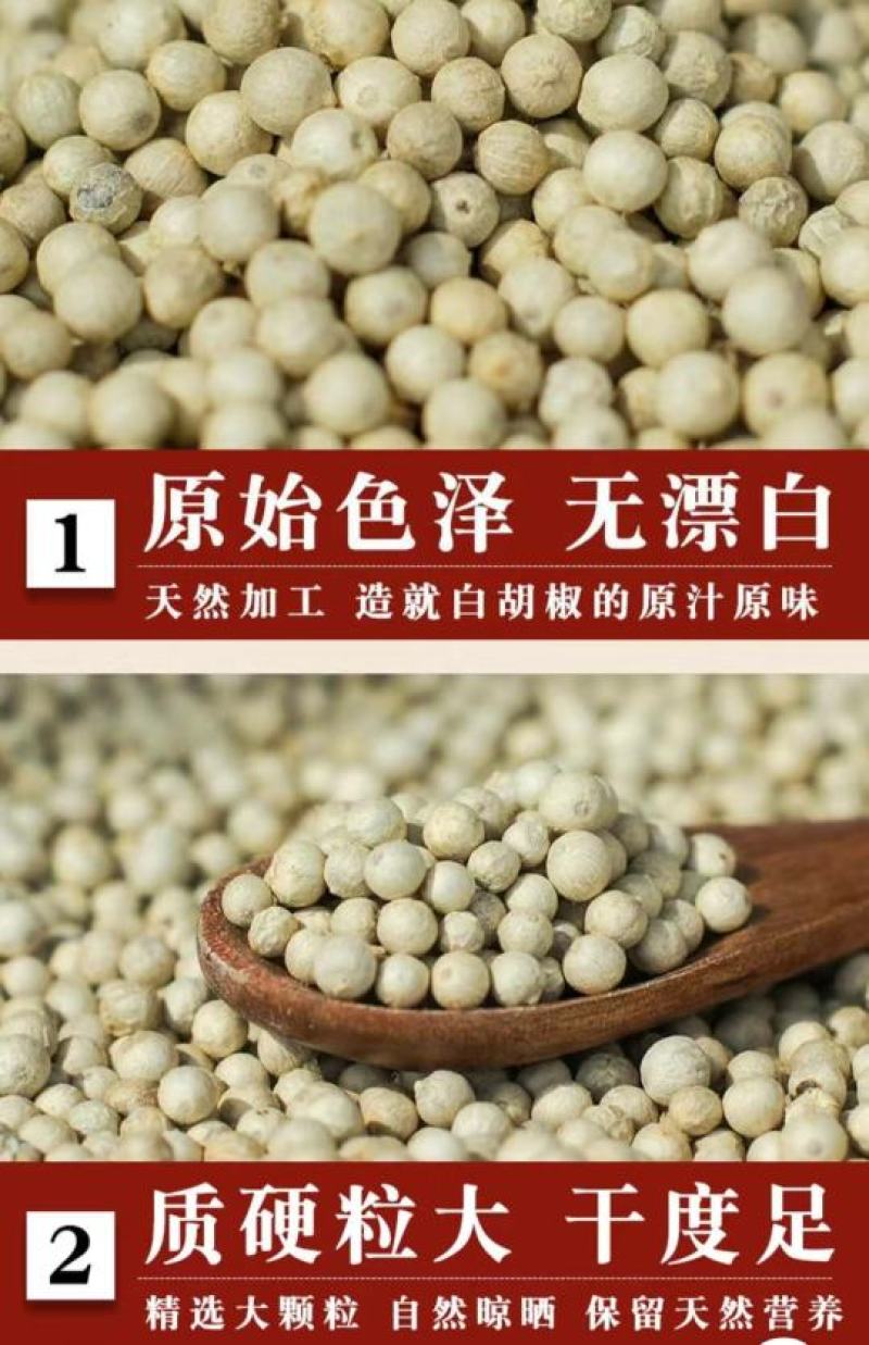 海南白胡椒辛辣芳香调味香料煲汤炖汤香味十足