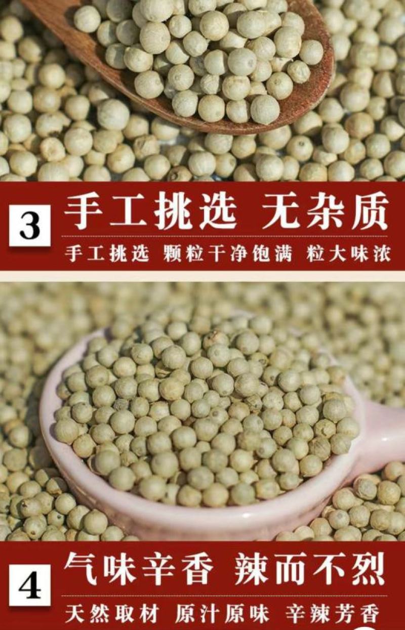 海南白胡椒辛辣芳香调味香料煲汤炖汤香味十足