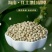 海南白胡椒辛辣芳香调味香料煲汤炖汤香味十足