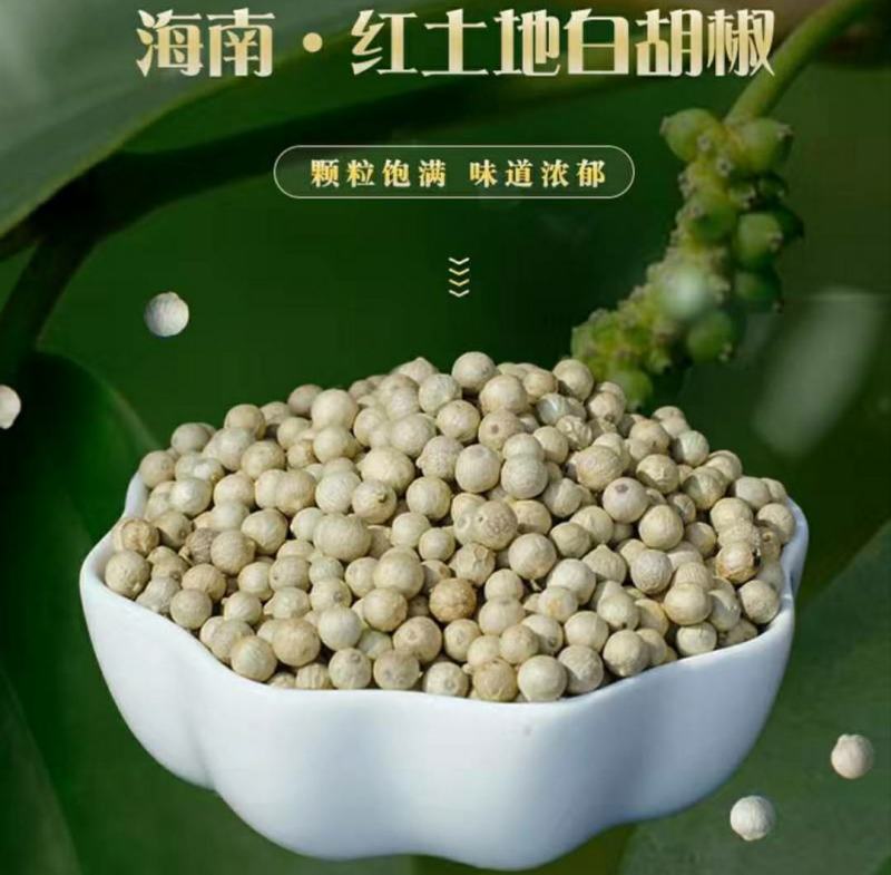 海南白胡椒辛辣芳香调味香料煲汤炖汤香味十足