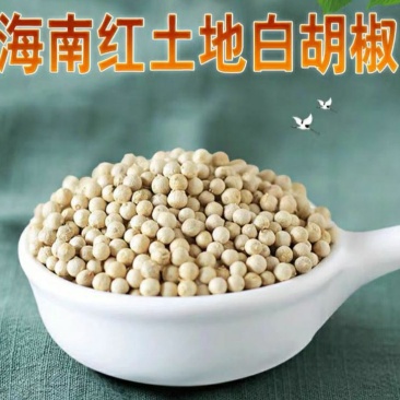 海南白胡椒辛辣芳香调味香料煲汤炖汤香味十足