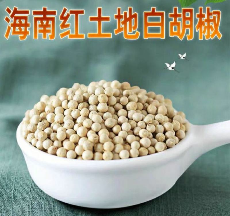海南白胡椒辛辣芳香调味香料煲汤炖汤香味十足
