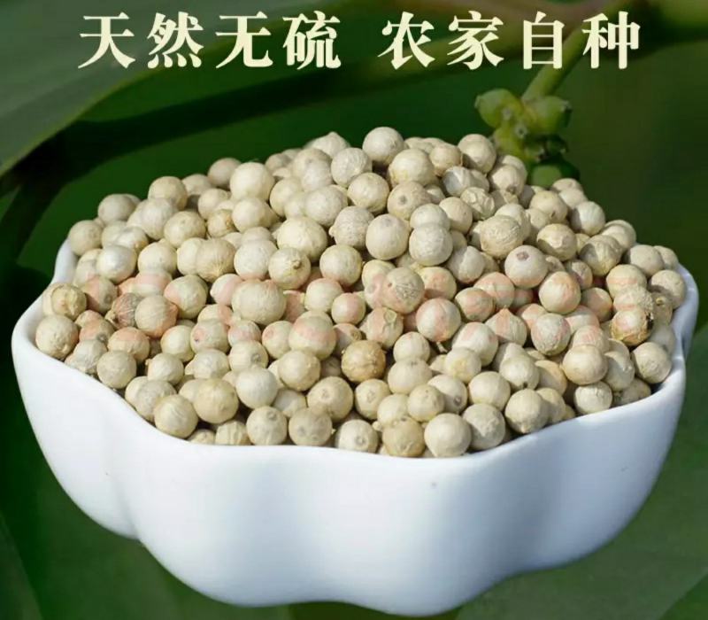 海南白胡椒辛辣芳香调味香料煲汤炖汤香味十足