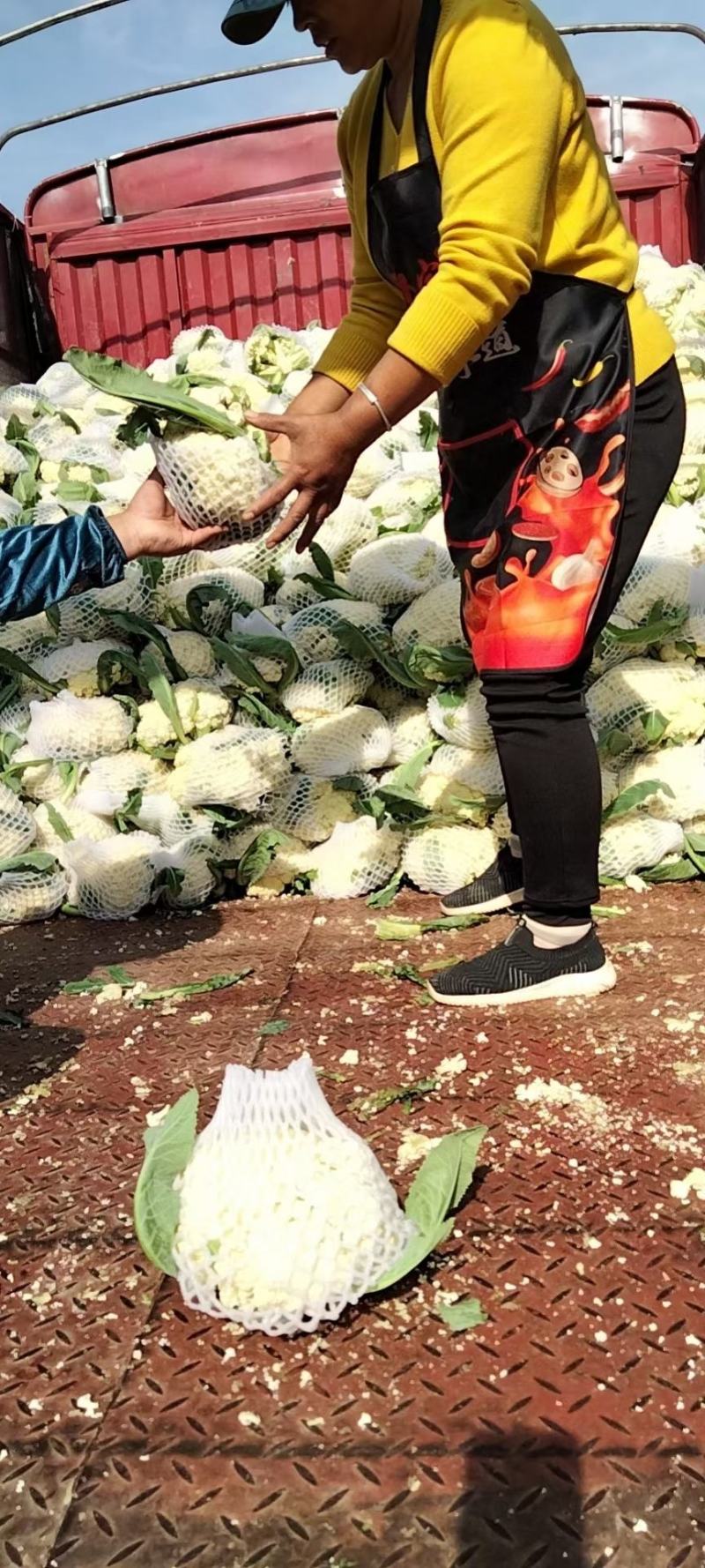花菜，有机菜花，对接电商平台青梗白面小米菜花，保质保量