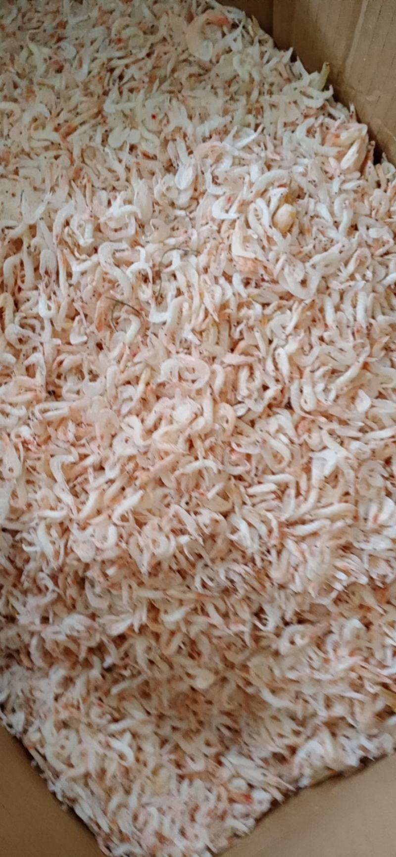 虾皮淡干无盐产地直发大量现货支持一件带发