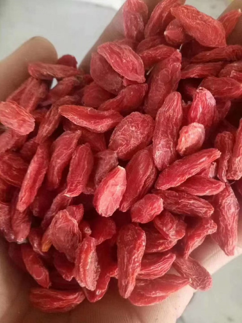 长期供应正宗枸杞量大优惠多品质无忧