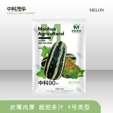 中科90甜瓜种子，短棒型，薄皮超甜，酥脆清香