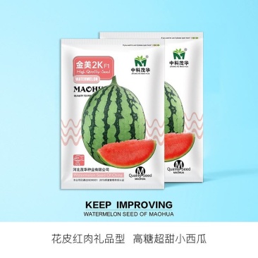 金美2K礼品西瓜种子，花皮红肉，甜脆多汁，口感风味佳
