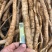 每天新鲜现挖靓野牛大力