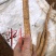 每天新鲜现挖靓野牛大力