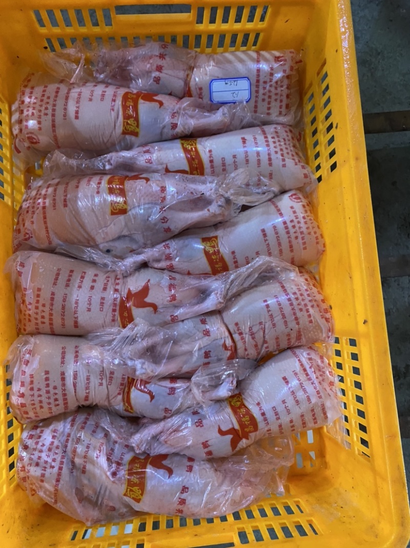 小白条鸭，冷鲜鸭，冻鸭，鸭副产品厂家直批。