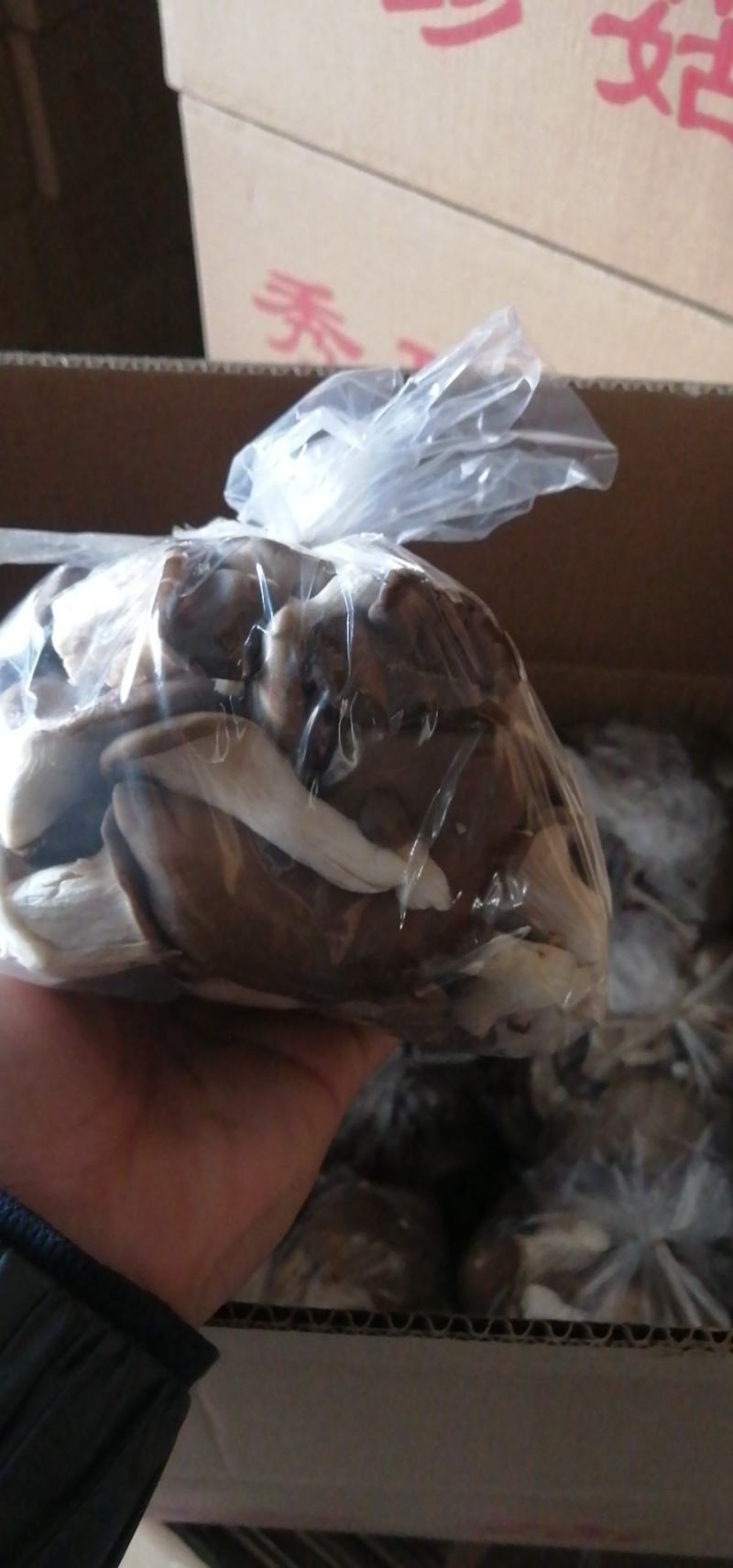 秀珍菇河北秀珍菇食用菌种植销售