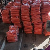 大量供应水洗三红胡萝卜