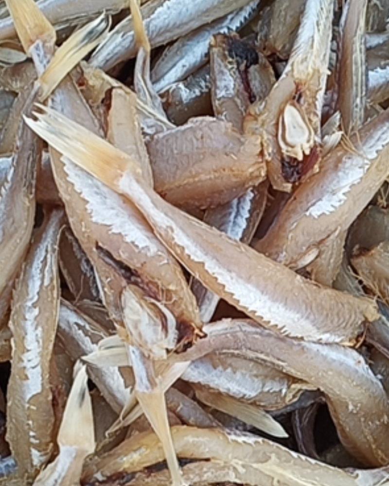 去头去皮去内脏的红头鱼有需要的关注，煎、炸、蒸、炖都好吃