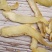 小片无硫玉竹新货无硫长片颜色好干度好没有皮片