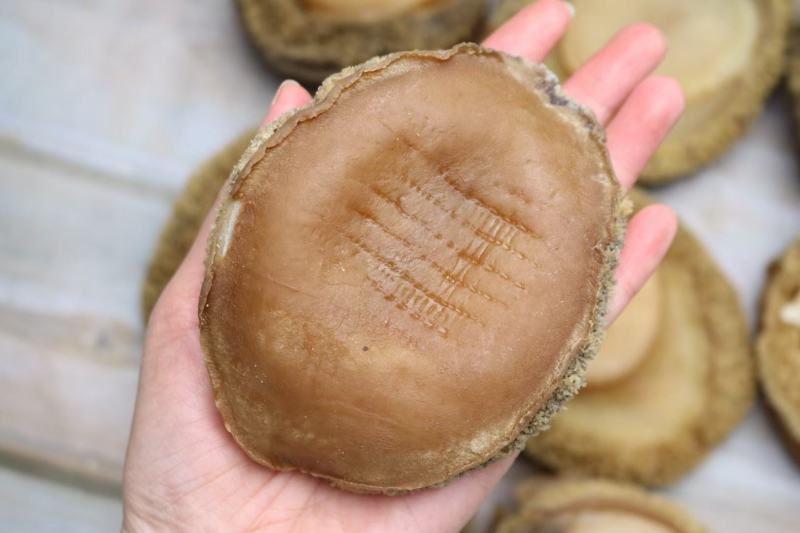 3头南非鲍鱼干个头大个个厚肉干度好