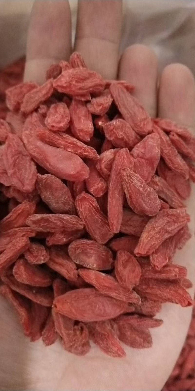 长期供应正宗枸杞量大优惠多品质无忧