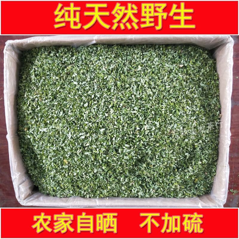 鸡骨草野生新鲜晒干带叶子益肝炖汤料煲汤养生鸡骨草茶