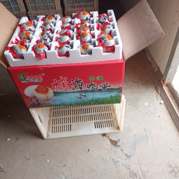100枚精装烤海鸭蛋量大议价