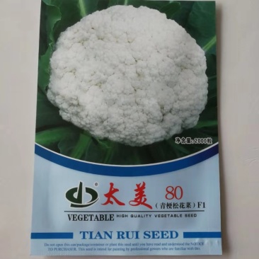 松花菜种子太美80青梗松花菜种子耐寒耐湿花球雪白花梗浅绿