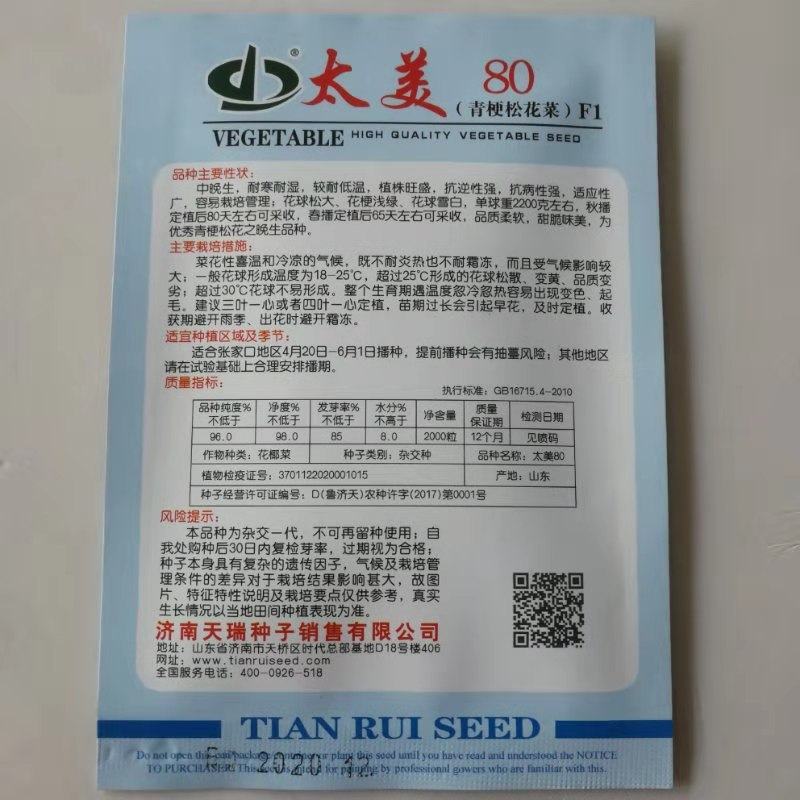 松花菜种子太美80青梗松花菜种子耐寒耐湿花球雪白花梗浅绿