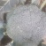 耐寒优秀西兰花品质优美个体均匀
