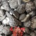 【随州干香菇/花菇】冬菇精品一手货源规格齐全