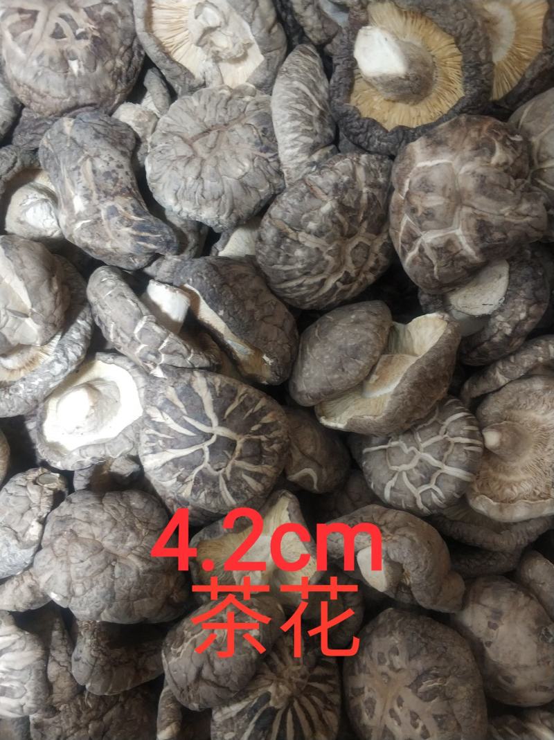 【随州干香菇/花菇】冬菇精品一手货源规格齐全