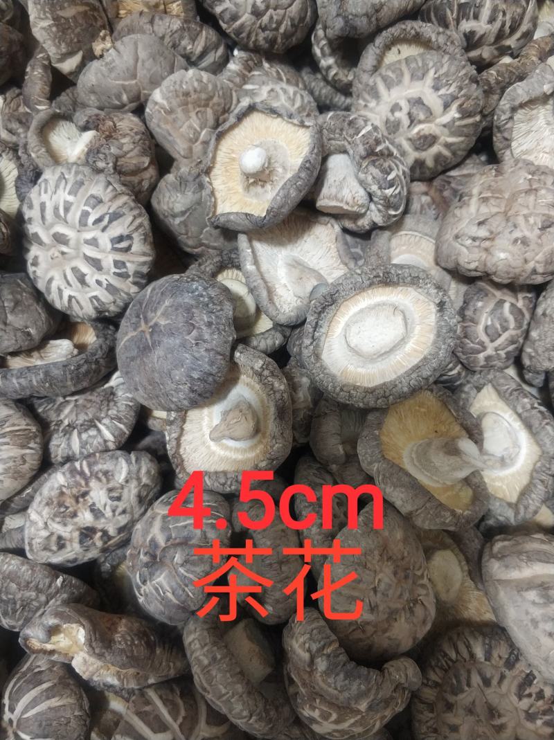 【随州干香菇/花菇】冬菇精品一手货源规格齐全