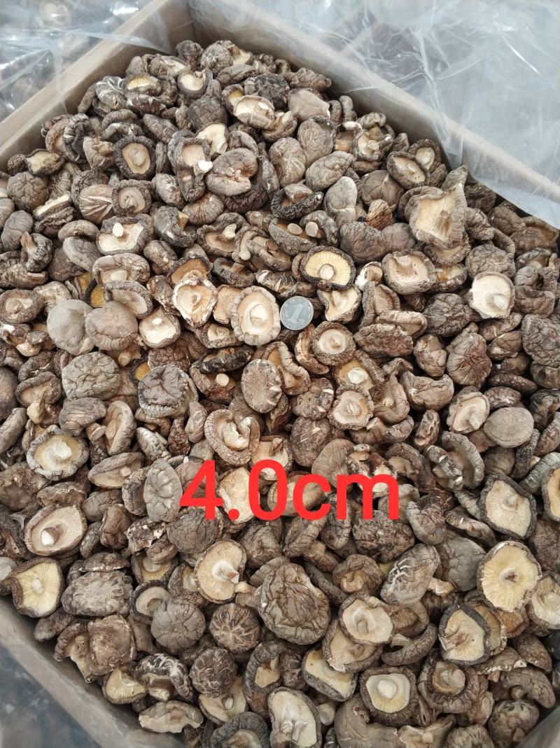 【随州干香菇/花菇】冬菇精品一手货源规格齐全