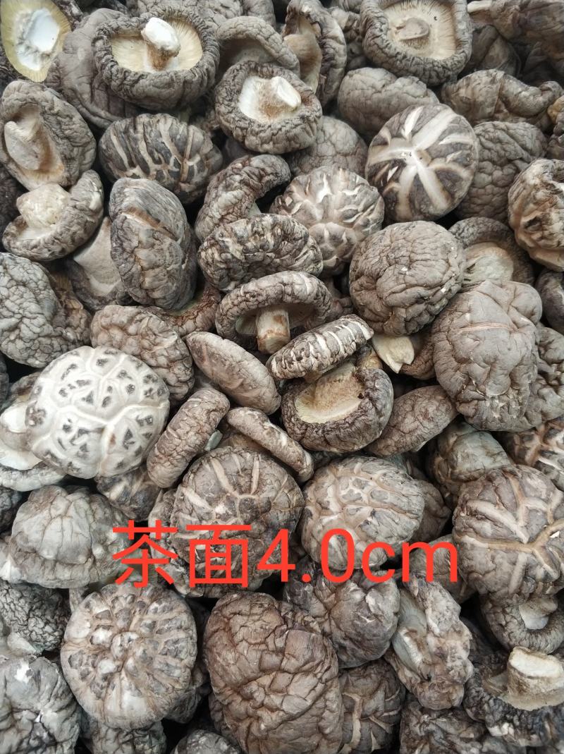 【随州干香菇/花菇】冬菇精品一手货源规格齐全