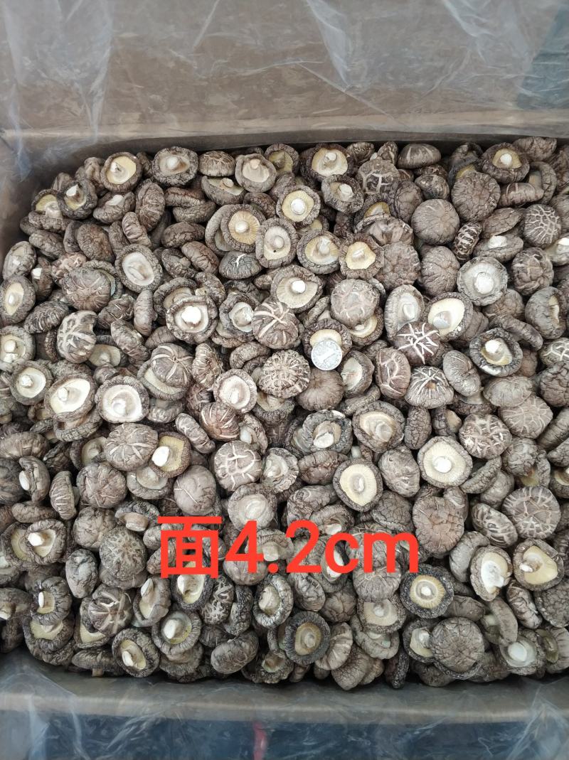 【随州干香菇/花菇】冬菇精品一手货源规格齐全