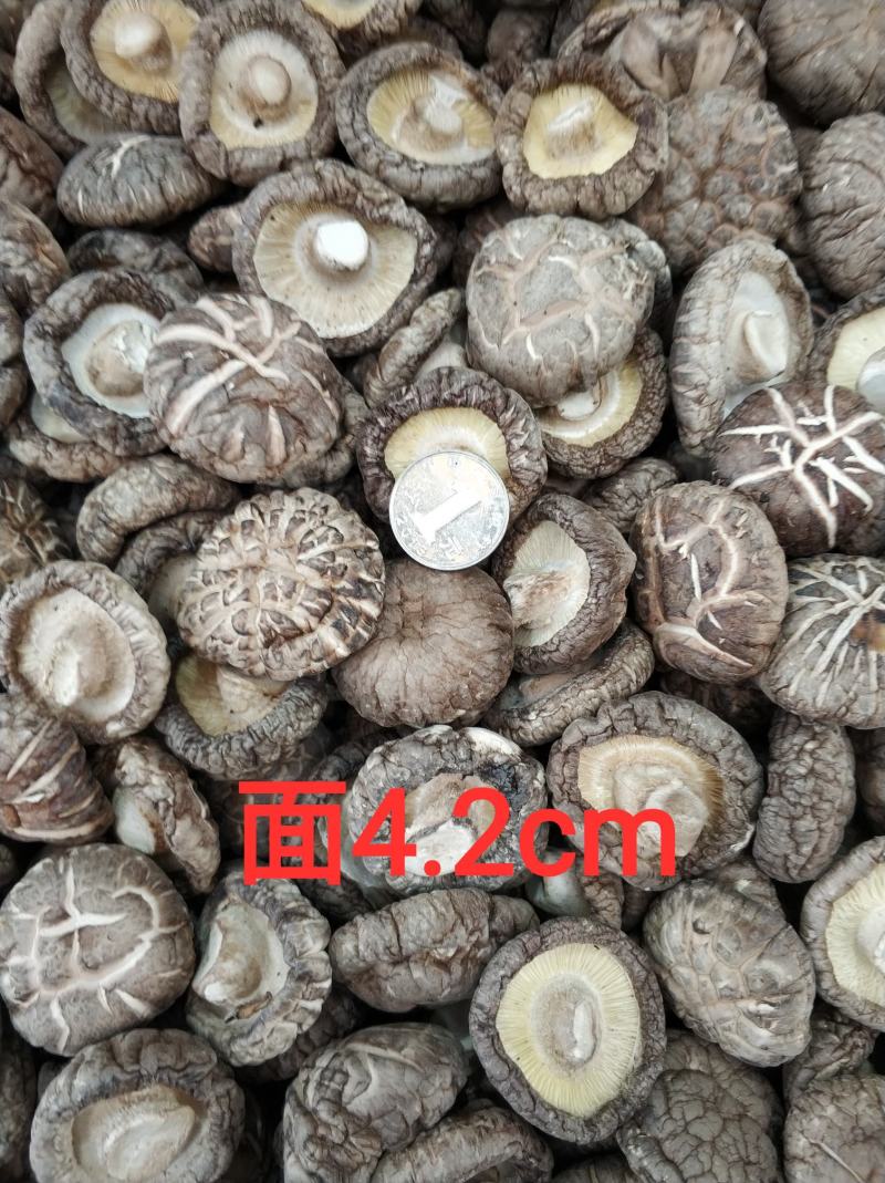 【随州干香菇/花菇】冬菇精品一手货源规格齐全