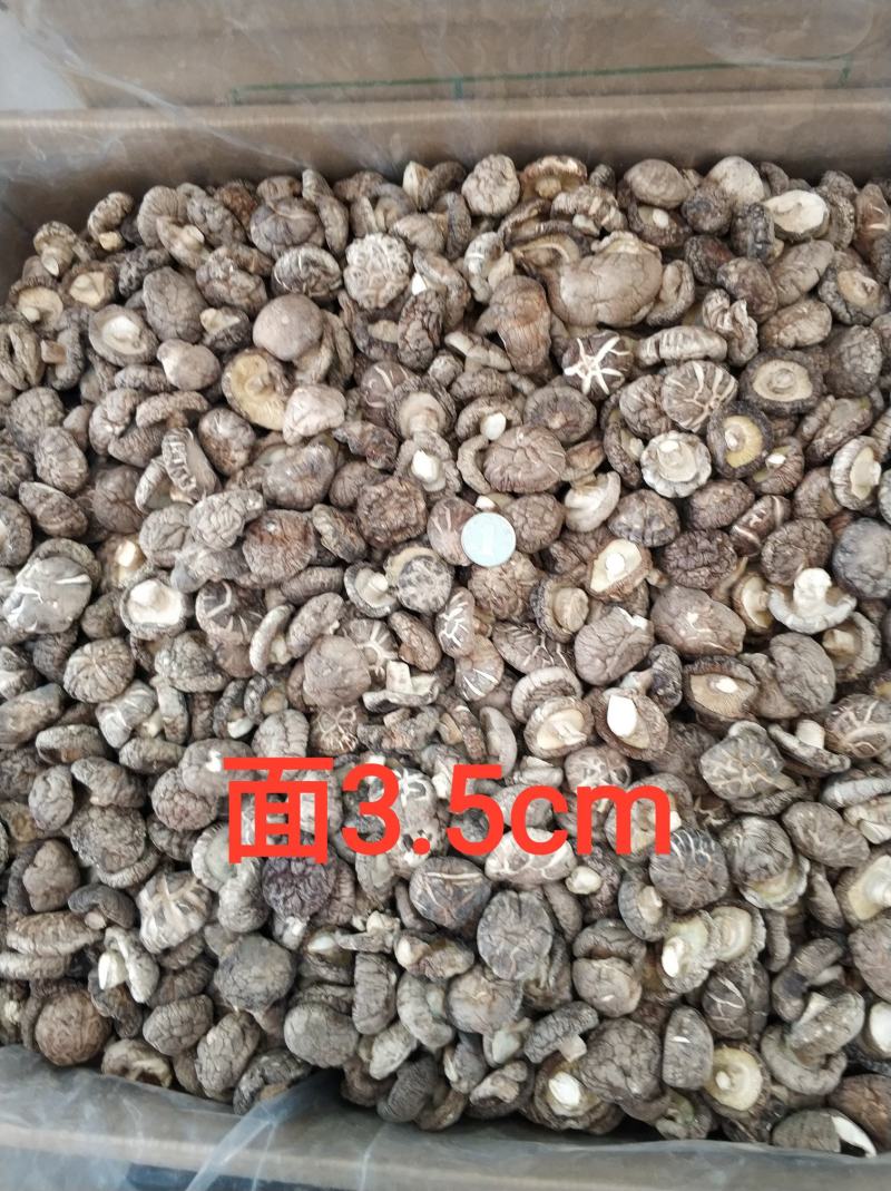 【随州干香菇/花菇】冬菇精品一手货源规格齐全