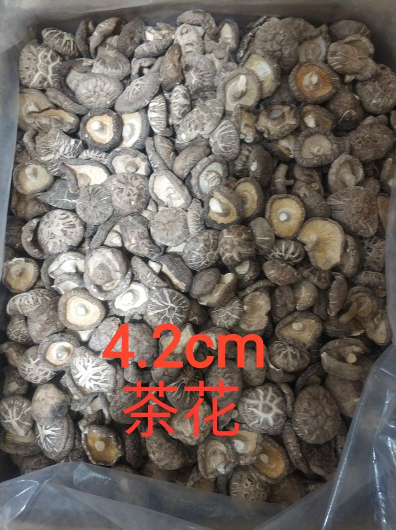 【随州干香菇/花菇】冬菇精品一手货源规格齐全
