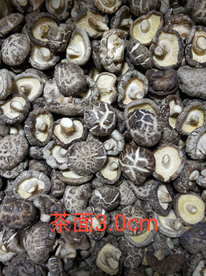 【随州干香菇/花菇】冬菇精品一手货源规格齐全