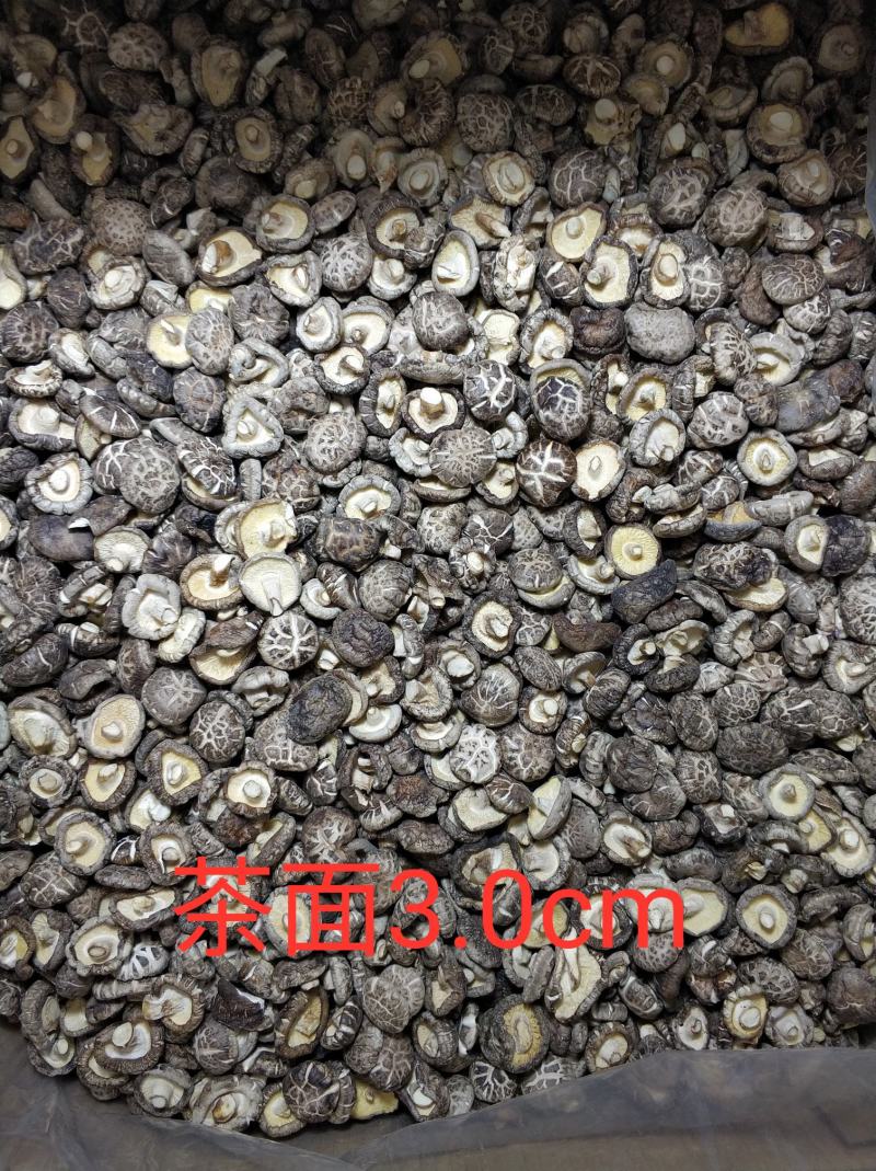 【随州干香菇/花菇】冬菇精品一手货源规格齐全