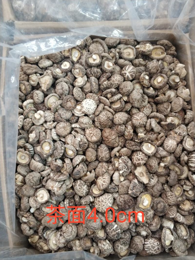 【随州干香菇/花菇】冬菇精品一手货源规格齐全